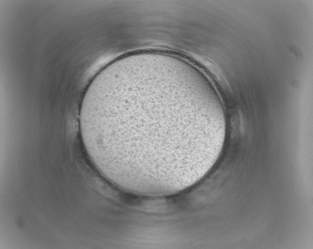 X0000115601363200911241546