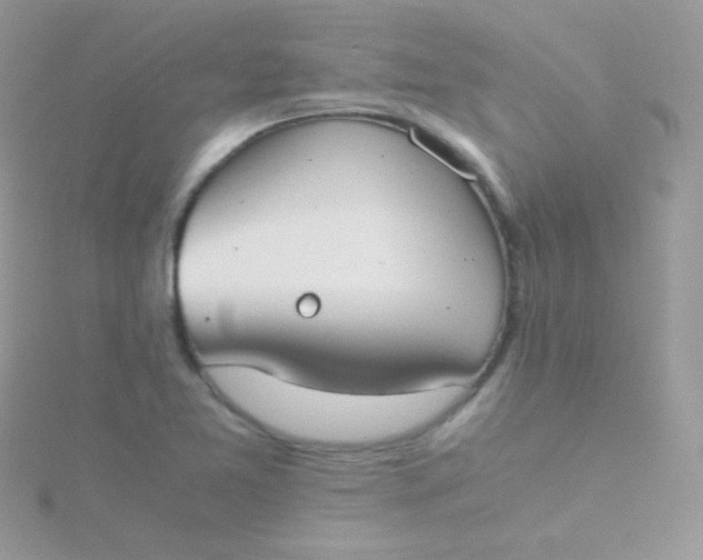 X0000115601365200911241546