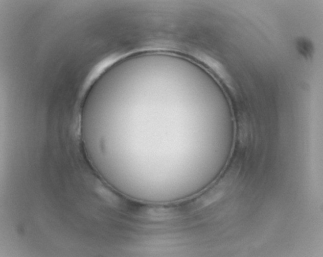 X0000115601366200911241546