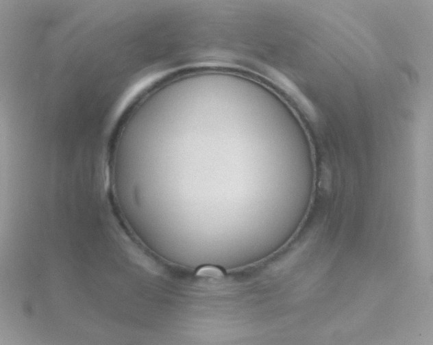 X0000115601368200911241546