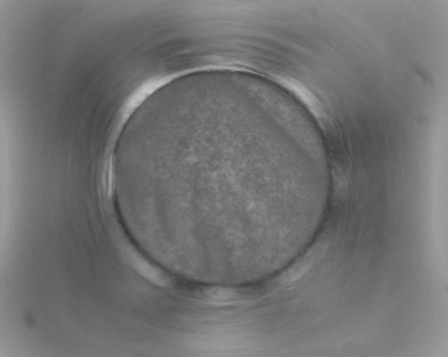 X0000115601371200911241546