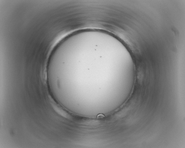 X0000115601372200911241546