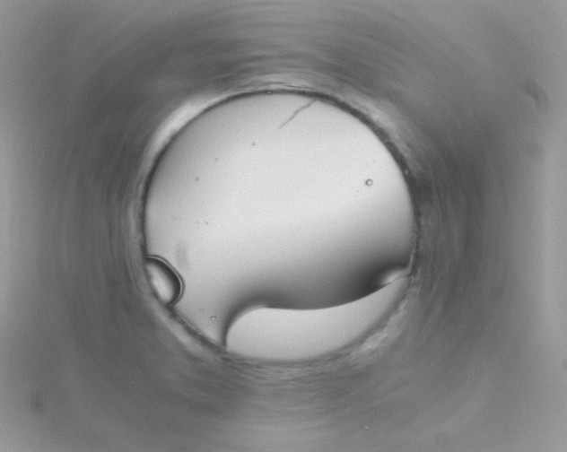 X0000115601373200911241546