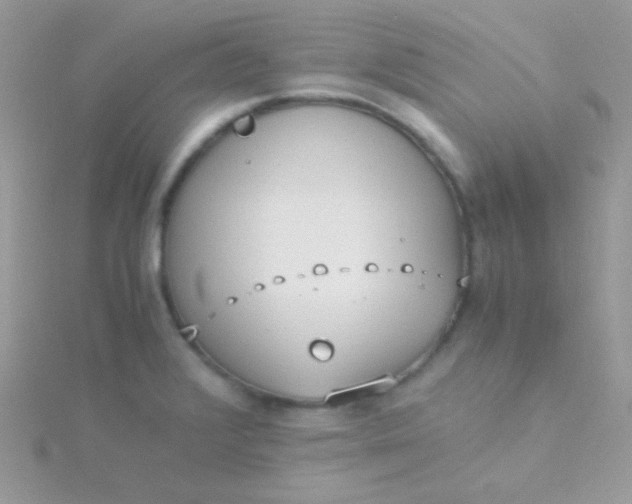 X0000115601376200911241546