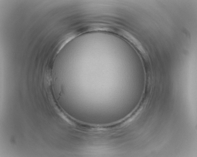 X0000115601377200911241546