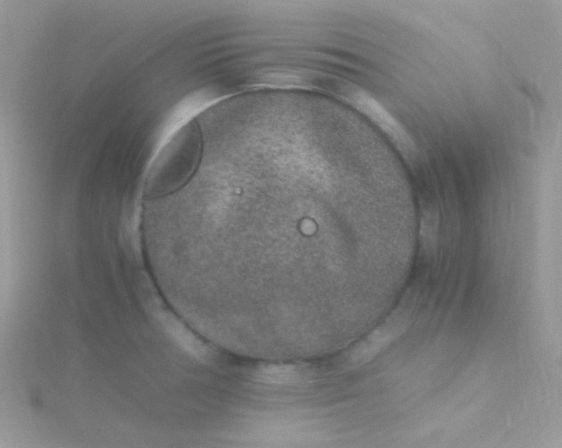 X0000115601378200911241546