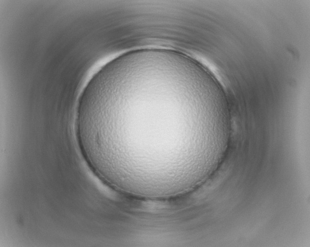 X0000115601379200911241546