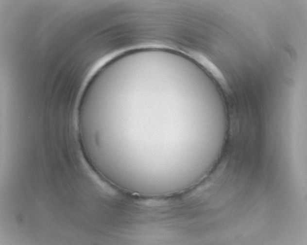 X0000115601380200911241546