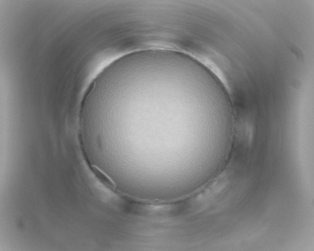 X0000115601381200911241546