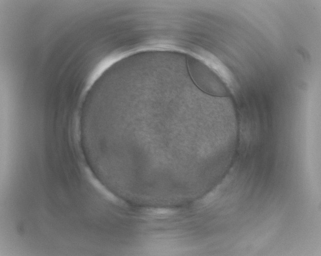 X0000115601382200911241546