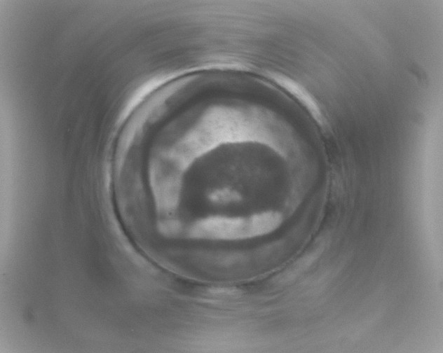 X0000115601383200911241546