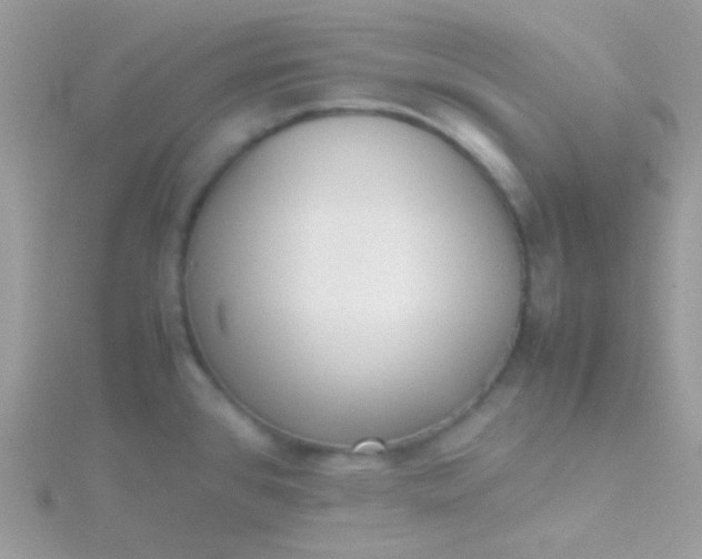 X0000115601384200911241546