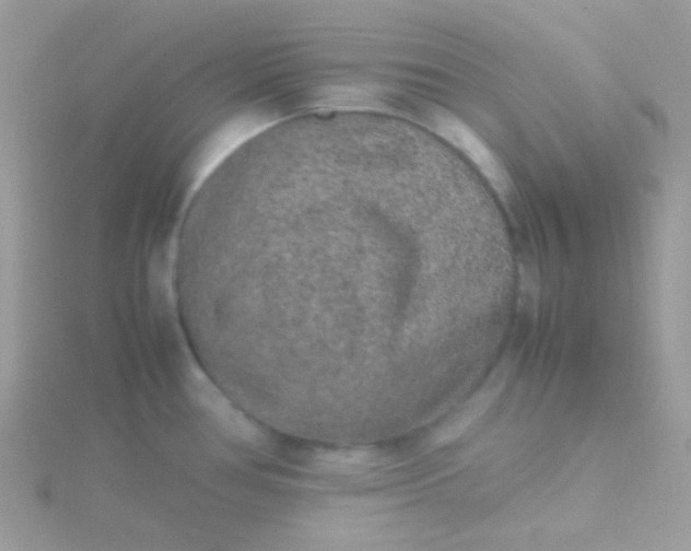 X0000115601386200911241546