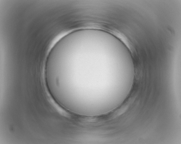 X0000115601387200911241546