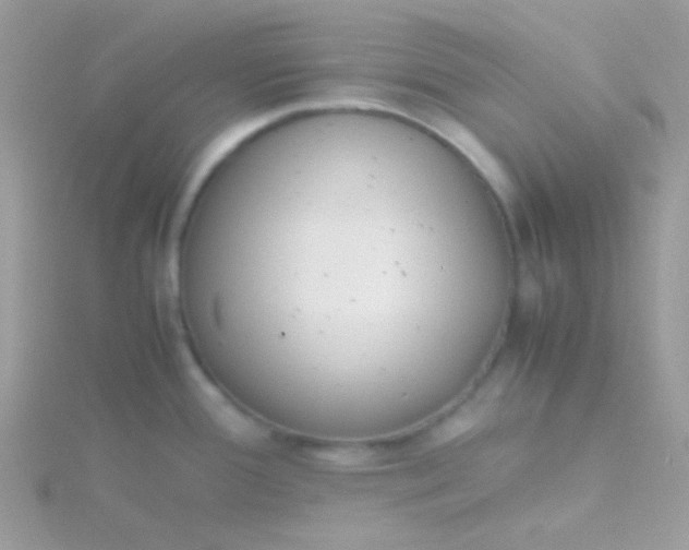 X0000115601388200911241546