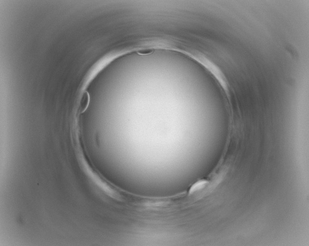 X0000115601389200911241546