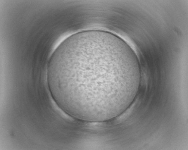 X0000115601390200911241546