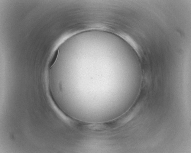 X0000115601391200911241546