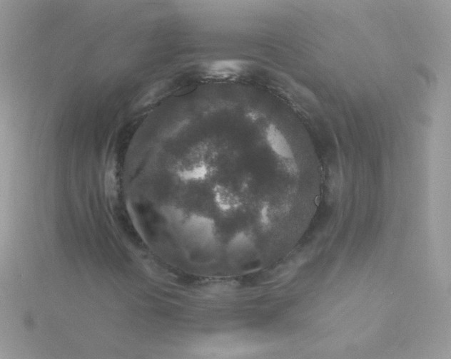 X0000115601394200911241545