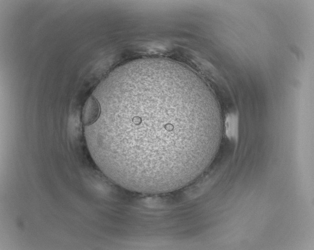 X0000115601395200911241545