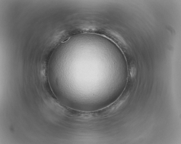 X0000115601396200911241545