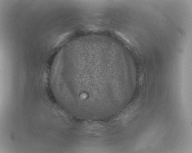 X0000115601397200911241545