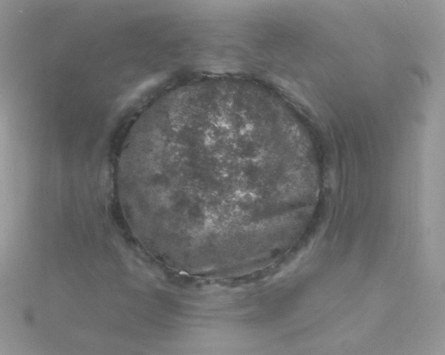 X0000115601398200911241545