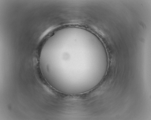 X0000115601400200911241545