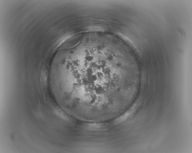 X0000115601401200911241545