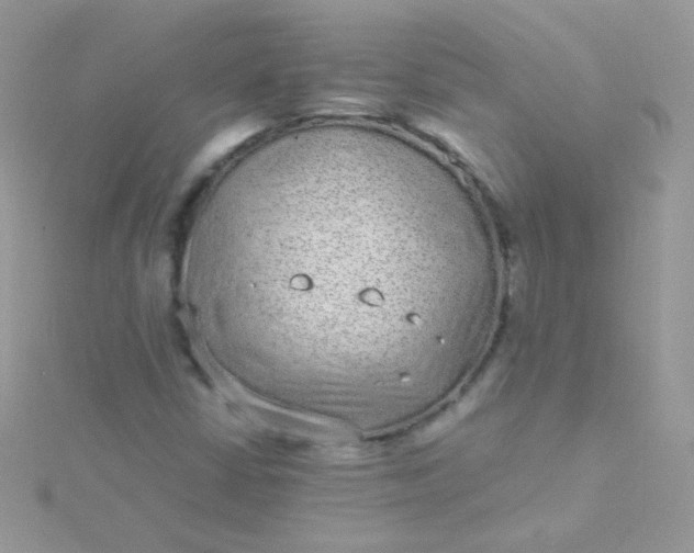 X0000115601402200911241545