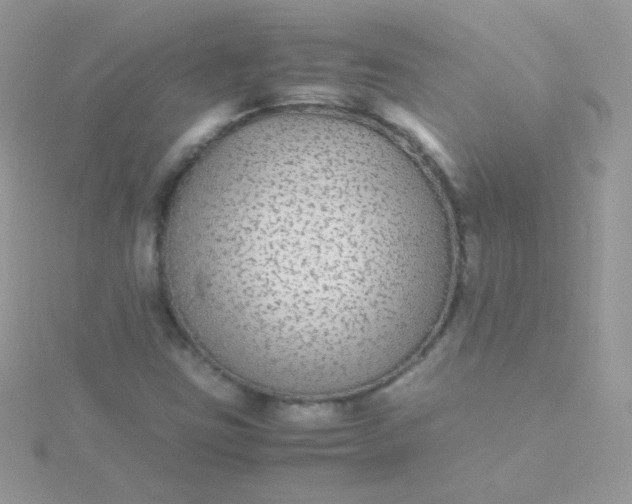 X0000115601403200911241545