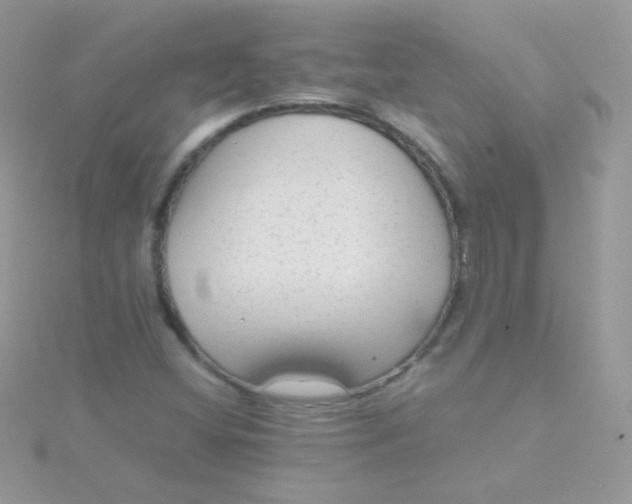 X0000115601404200911241545