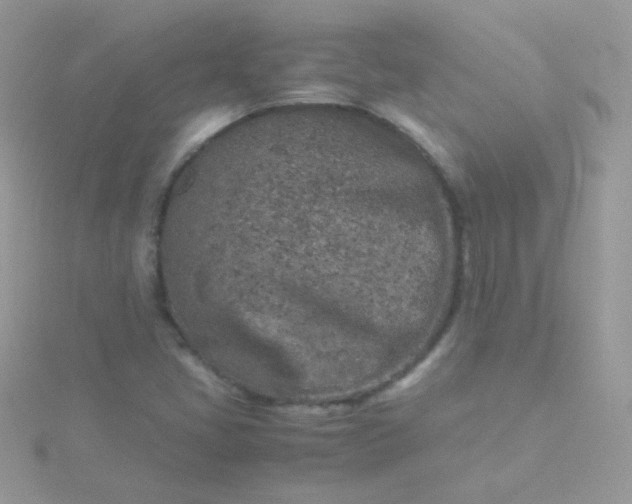 X0000115601405200911241545