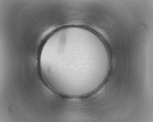 X0000115601406200911241545