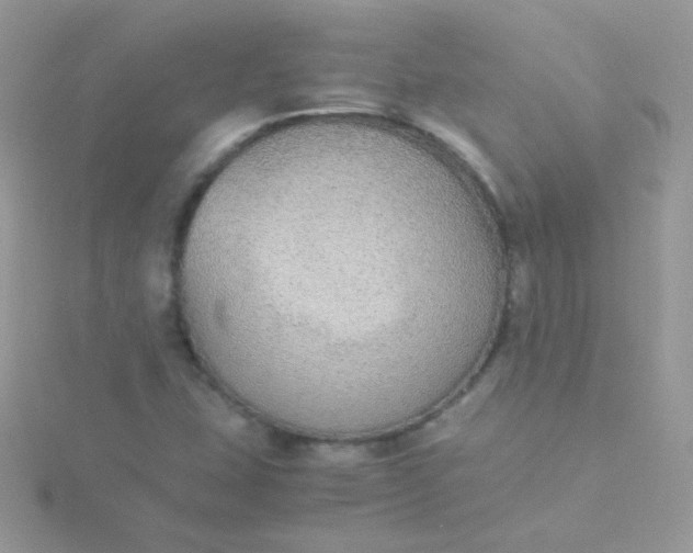 X0000115601407200911241545