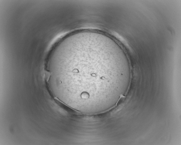 X0000115601408200911241545