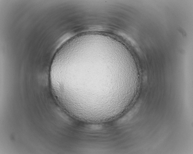 X0000115601409200911241545