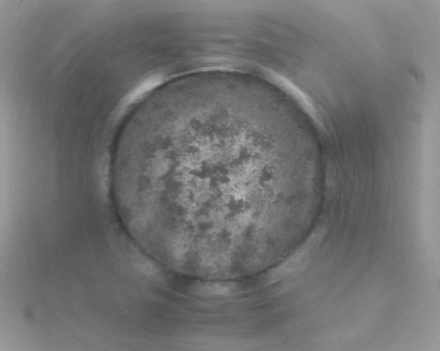 X0000115601411200911241545