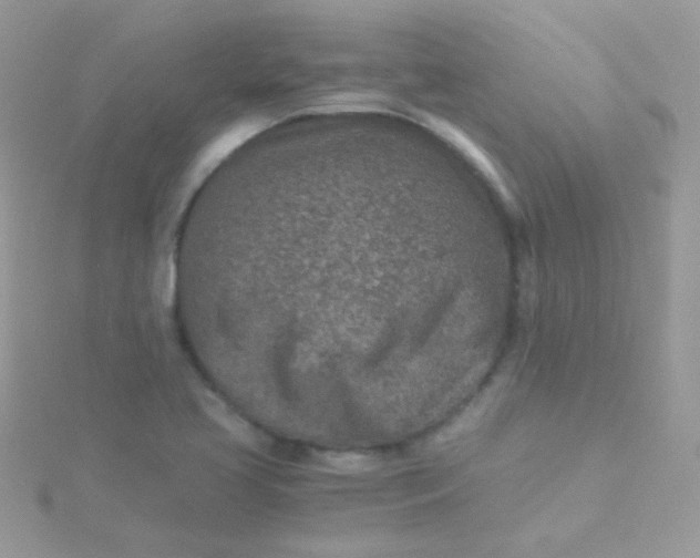 X0000115601413200911241545