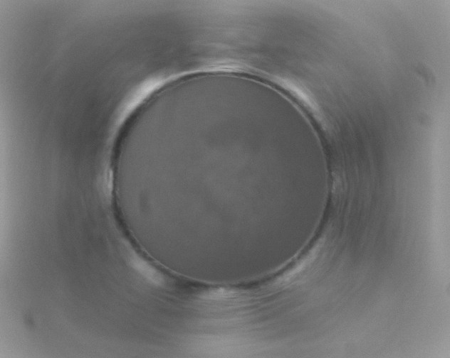 X0000115601414200911241545