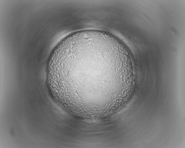 X0000115601415200911241545