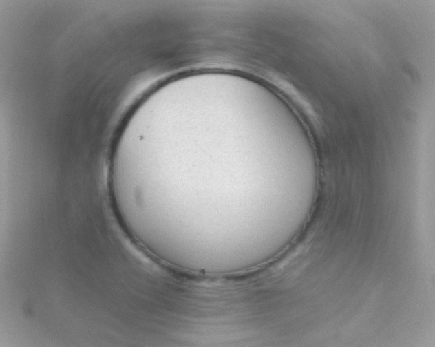 X0000115601416200911241545