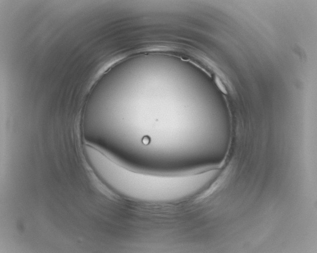 X0000115601417200911241545