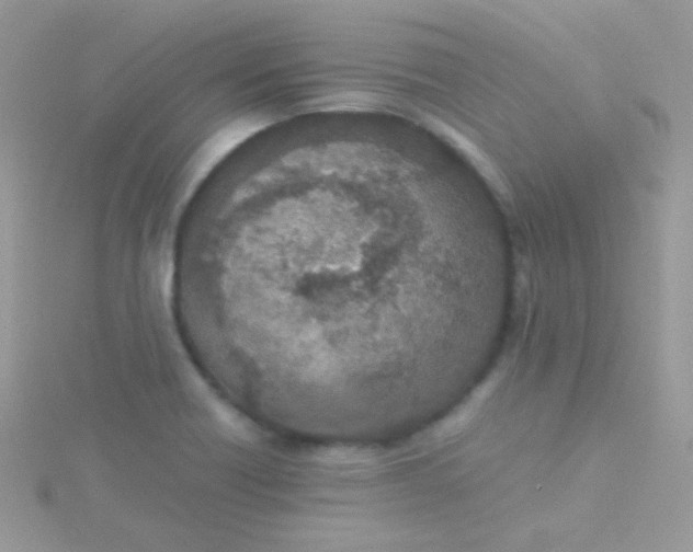 X0000115601418200911241545