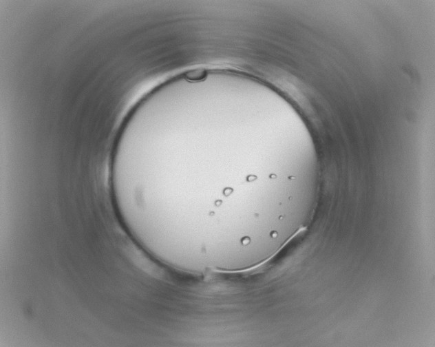 X0000115601420200911241545