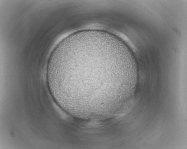 X0000115601421200911241545