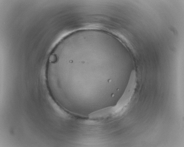 X0000115601422200911241545