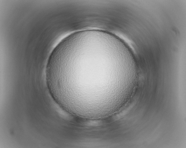 X0000115601423200911241545