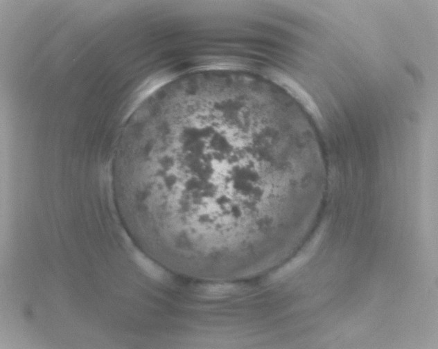 X0000115601425200911241545