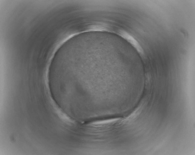 X0000115601427200911241545